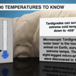 100 Temperatures