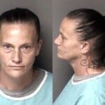 Candice Wall Habeas Corpus