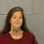 Decima Choi Strickland Child Abuse Hit And Run Injury Assault With Deadly Weapon Minor Present