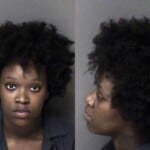 Maya Carter Misd Crime Of Dom Violence