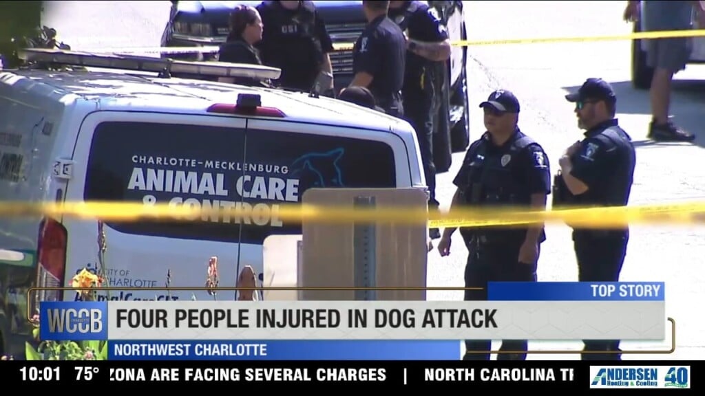 Four People Injured In Dog Attack