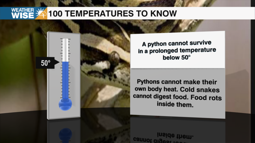 100 Temperatures