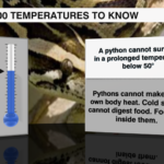 100 Temperatures
