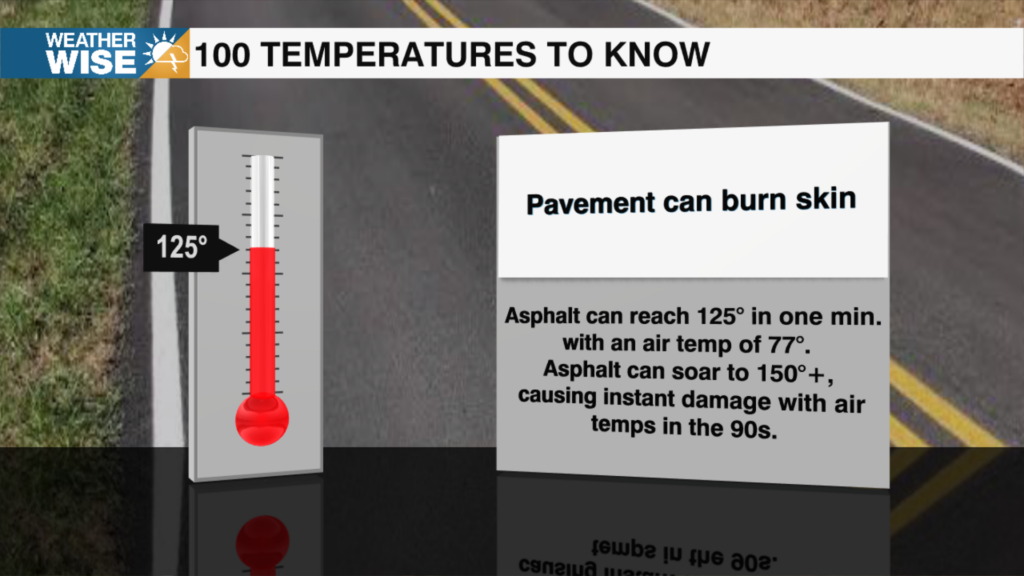 100 Temperatures 2