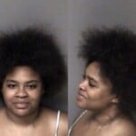 Kamani Brooks Assault Simple