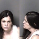 Lucinda Davidson Cocaine Possess Possess Methamphetamine Possess Fentanyl Possess Drug Paraphernalia Insurance No Liability