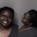 Brandi Wilkes Fail To Appear Misdemeanor Resist Public Officer