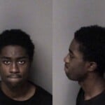 Johnathan Potts Assault Female Discharge Firearm In City Assault Pointing A Gun Possess Stolen Firearm Firearm Possess Felon