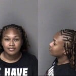 Aaliyah Brice Leash Law Violation