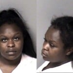 Brendasia Joseph Disorderly Conductschool Breakenter Buidling Attempt