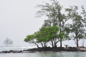 Us Hawaii Extreme Weather Nolo