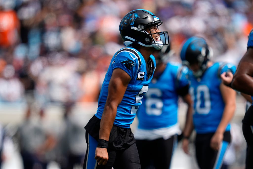 Bears Panthers Football
