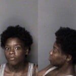 Kenya Partlow Possess Methamphetamine Possess Drug Paraphernalia