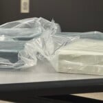 Drug Bust