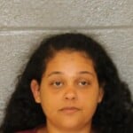 Asha Ali Fugitive