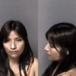 Leticia Gomezramirez Misd Crime Of Dom Violence Assault Simple