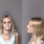 Sharon Plemmons Misd Crime Of Dom Violence