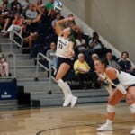Wingate Vs Anderson Vb
