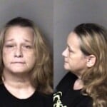 Amy Brady Misd Crime Of Dom Violence