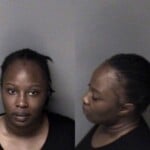 Alexis Kirkpatrick Assault Simple
