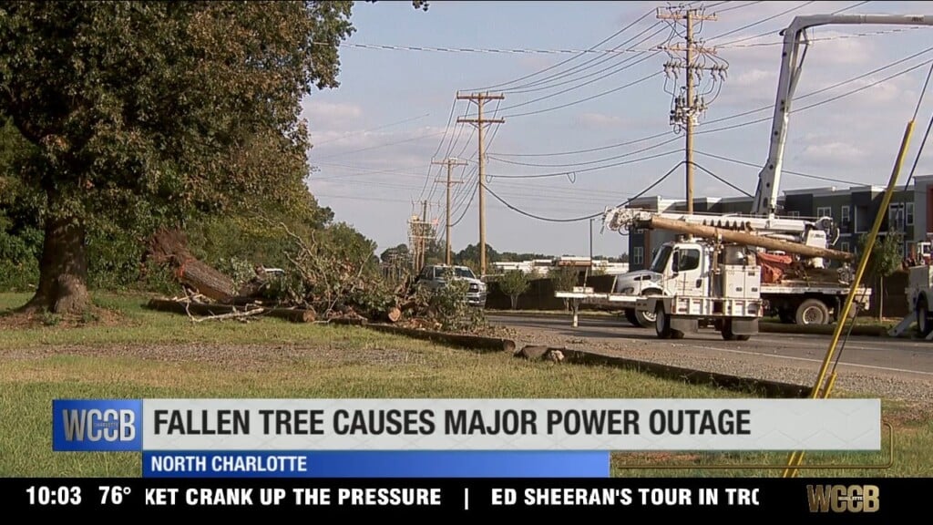 Fallen Tree Causes Major Power Outage
