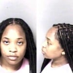 Diamond Brown Intoxicated And Disruptive Resist Public Officer