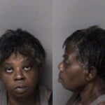 Elizabeth Ellis Possess Methamphetamine Possess Drug Paraphernalia