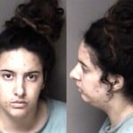 Brenna Willis Extraditionfugitive Other State Larceny Motor Vehicle Theft Financial Card Fraud Financial Card Larceny Misdemeanor