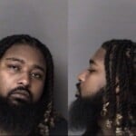 Ometreus Ivey Domestic Violence Protection Order