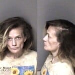 Heather Wooten Hitrun Leave Scene Property Damage Dwlr Not Impaired Rev Ficttitlereg Cardtag