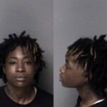 Saniyah Garvin Possess Drug Paraphernalia Disorderly Conduct Affray