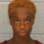 Katrinna Allison Felony Larceny Breaking And Entering