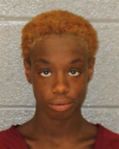 Katrinna Allison Felony Larceny Breaking And Entering