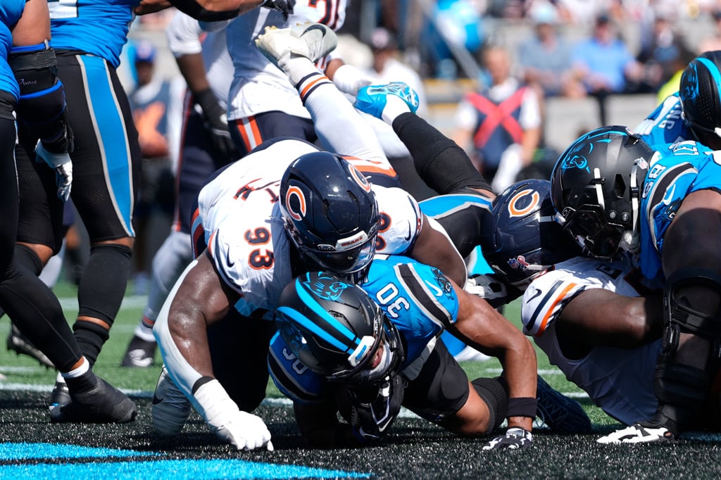 Bears Panthers Football