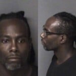 Albert Andrews Habeas Corpus