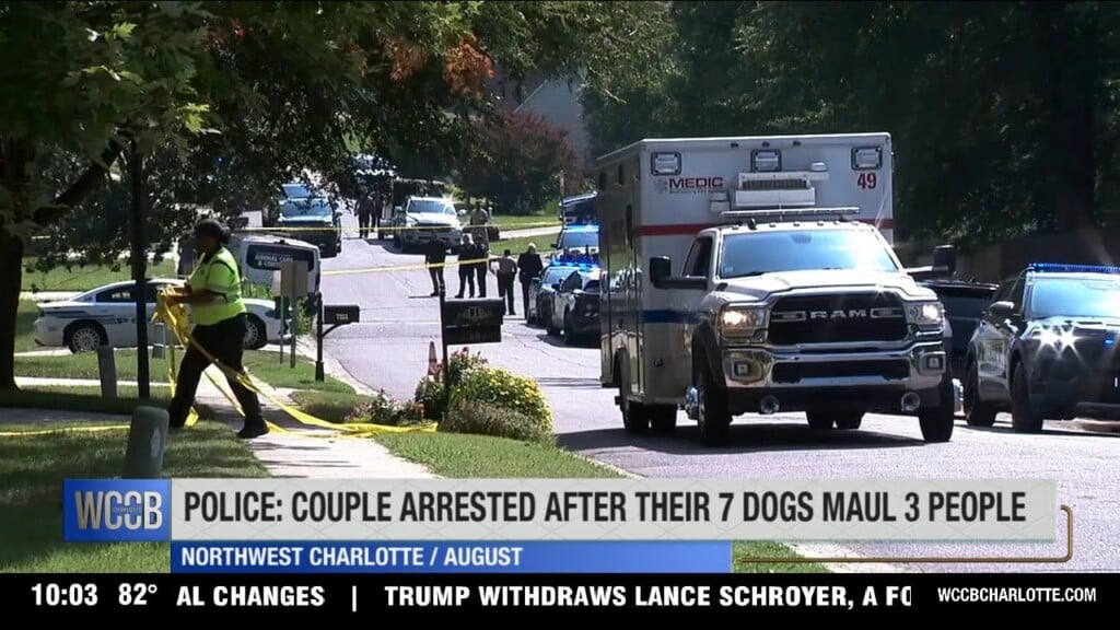 Police: Couple Arrested After Their 7 Dogs Maul 3 People
