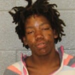 Antoinette Gray Resisting Public Officer Simple Assault Interfere Emergency Communication Assault Govt Officialemply Breaking And Or Entering Larceny After Breakenter