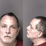 Carroll Mcandrews Larceny Misdemeanor
