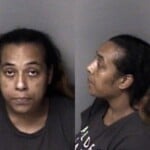Brooklyn Haney License No Operators Insurance No Liability Fictalt Titlereg Cardtag Title Deliveraccept Open Registration Plate Driveallow While Not Display