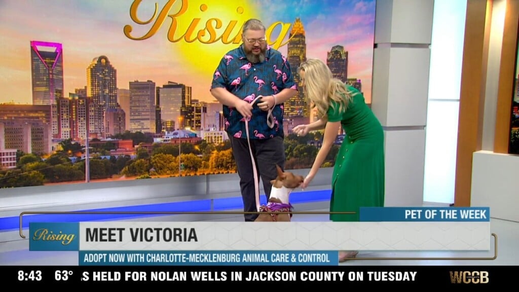 Pet Of The Week