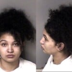 Sierra Bess Failure To Appear Misdemeanor