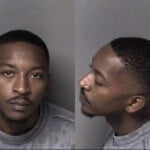 James Knox Leash Law Violation