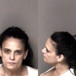 Johnnie Jallo Larceny Conspire Commit Fel Larceny Injury Real Property Trespass 1st Degree