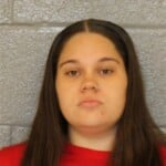 Halee Wech Larceny By Employee Felony Conspiracy