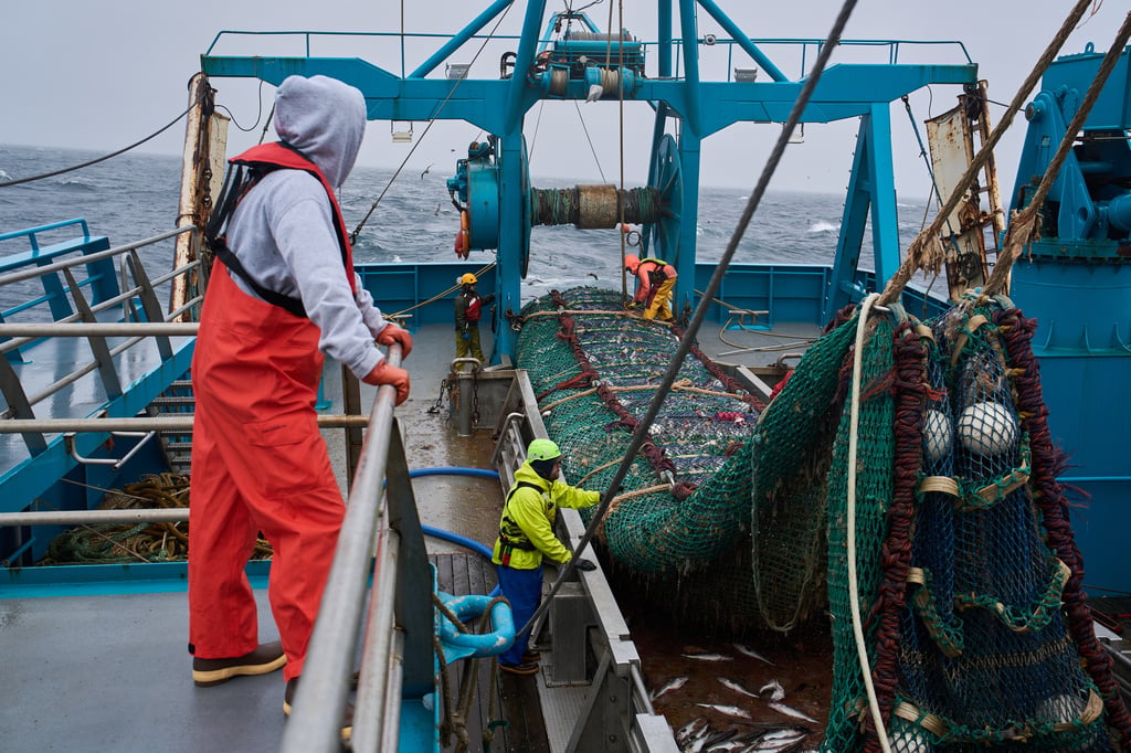 Aptopix Alaska Trawling Fish Collapse