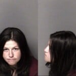 Hannah Hanline Possess Drug Paraphernalia Sch Ii Possess