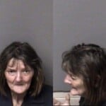 Trudy Vaughn Disorderly Conductschool Trespass 2nd Degree