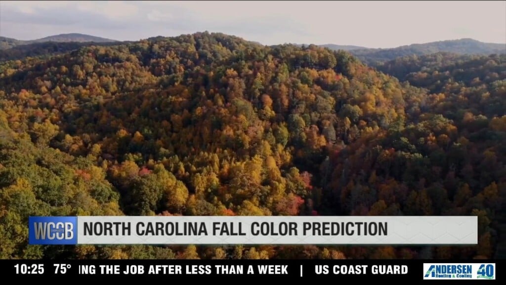 Nc Fall Color Prediction