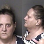 Melissa Barrera Fraud Financial Card Obtain Property False Pretense Larceny Misdemeanor Financial Identity Fraud Exploit Disabledelderly Theft Financial Card