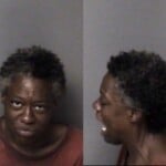 Heather Quinn Failure To Appear Misdemeanor